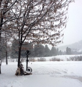 56623516155__F05D3D2A-E465-42DE-BEBA-11556F490544